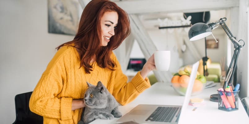 一位女士一边喝咖啡，一边在笔记本电脑前工作，腿上放着一只灰色的猫。