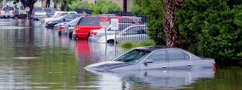 由于飓风佛罗伦萨，汽车被淹没在被洪水淹没的街道上